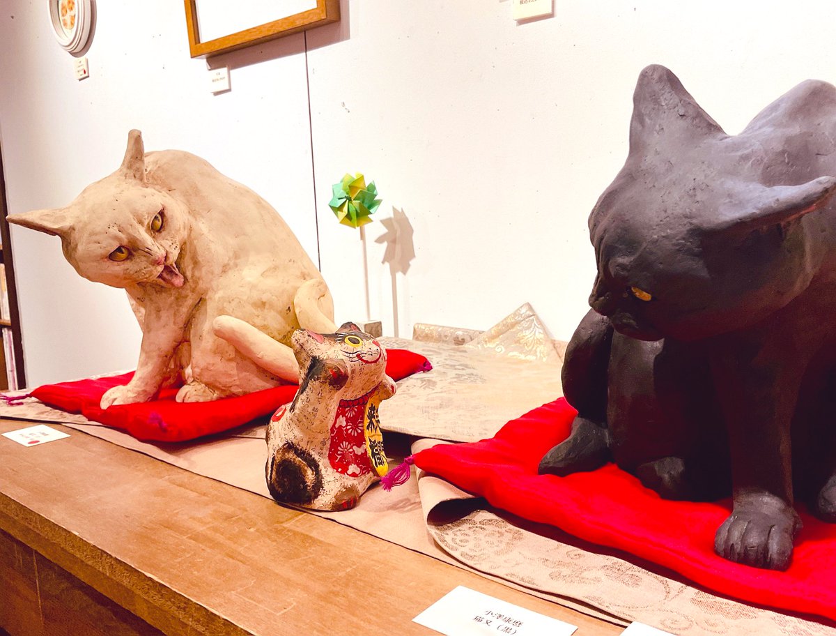 松本浩子𓃠百々猫堂 on X