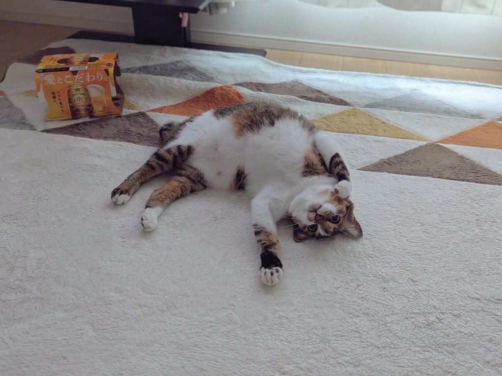 みみみちゃん (@mimimi______64) / Posts / X