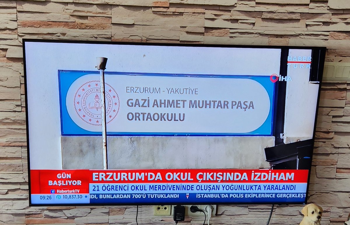 Sınıflarımda birebir anlattığım, bahsettiğim olay, gerçek olmuş! Zil sesininin çocukları nasıl tetiklediğine çok güzel bir örnek olmuş! 2013 yılında Antalya'ya da özel bir okulda zilsiz okul başlatmıştım. <a href="/tcmeb/">Millî Eğitim Bakanlığı</a> tıpkı Maarif Modelinin içeriği gibi bunu da oradan öğrendi.