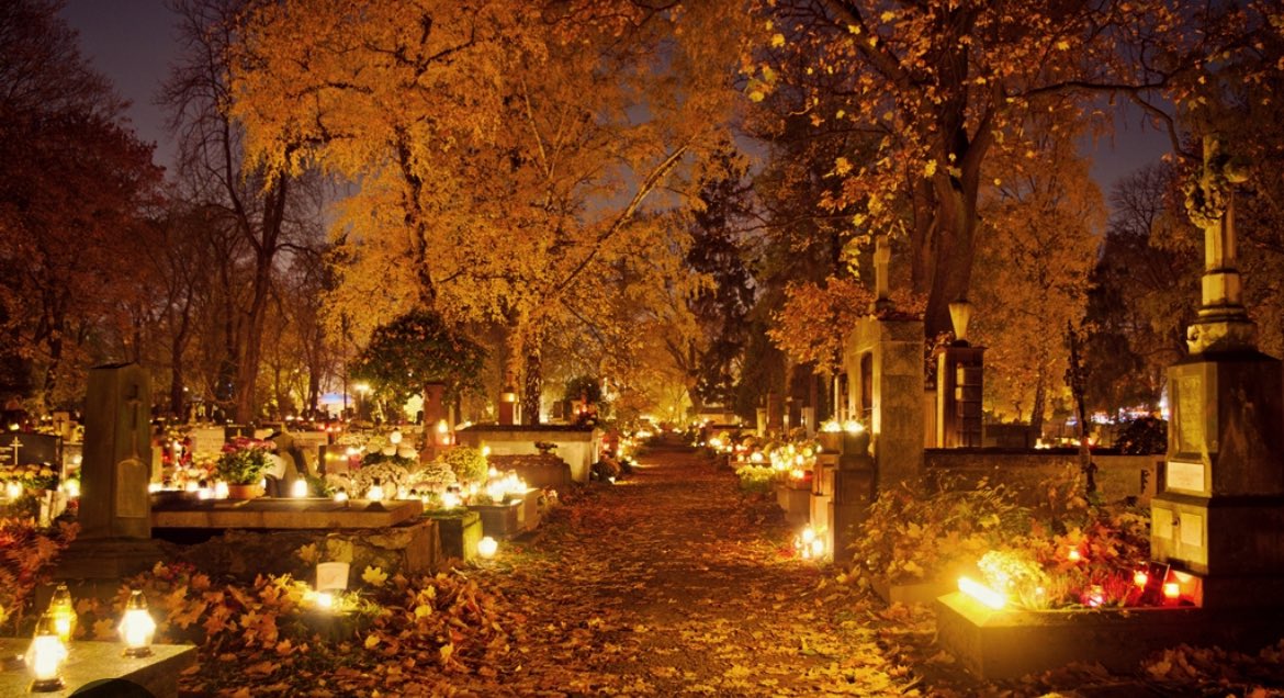 lazycrazygo's tweet image. All Saints’ Day, celebrated on November 1st, is a cherished Polish tradition of remembering loved ones. Families visit cemeteries, tidy graves, lay flowers, and light votive candles. At night, thousands of flickering lights create a sea of flame—a symbol of hope and eternal life.…