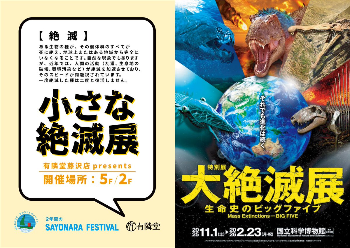 Yurindo_store's tweet photo. 🦖本日より開催🦖
有隣堂藤沢店(@yurindo_fujisaw )「SAYONARA FESTIVAL」第一弾
『小さな絶滅展』スタートします✨“失われゆくものたち”へのまなざしをテーマに、本や雑貨、展示を通して「絶滅」を考えるフェアです。
📅〜2026/1/4(日)
詳細🔽
https://t.co/afcyUUwQKY
#SAYONARAFESTIVAL https://t.co/e5wi4sTtpK