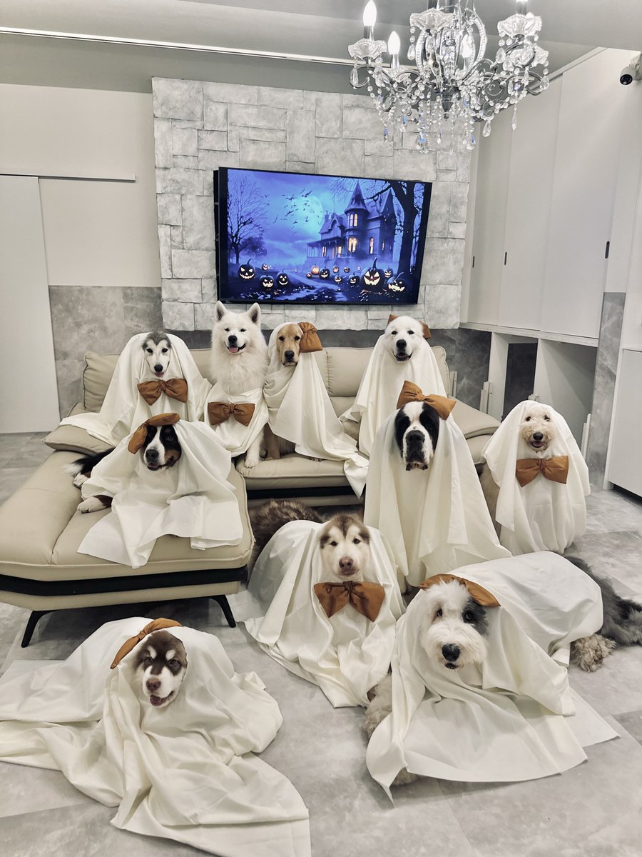 西アフױ力で飲む、いつもの味。 (@lunan18) / Posts / X