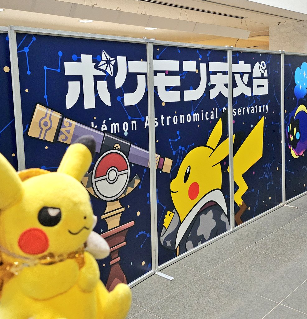 ぴかちゅうさま確認ページ♡ 状態B〕ピカチュウ【P】{367/SM-P}