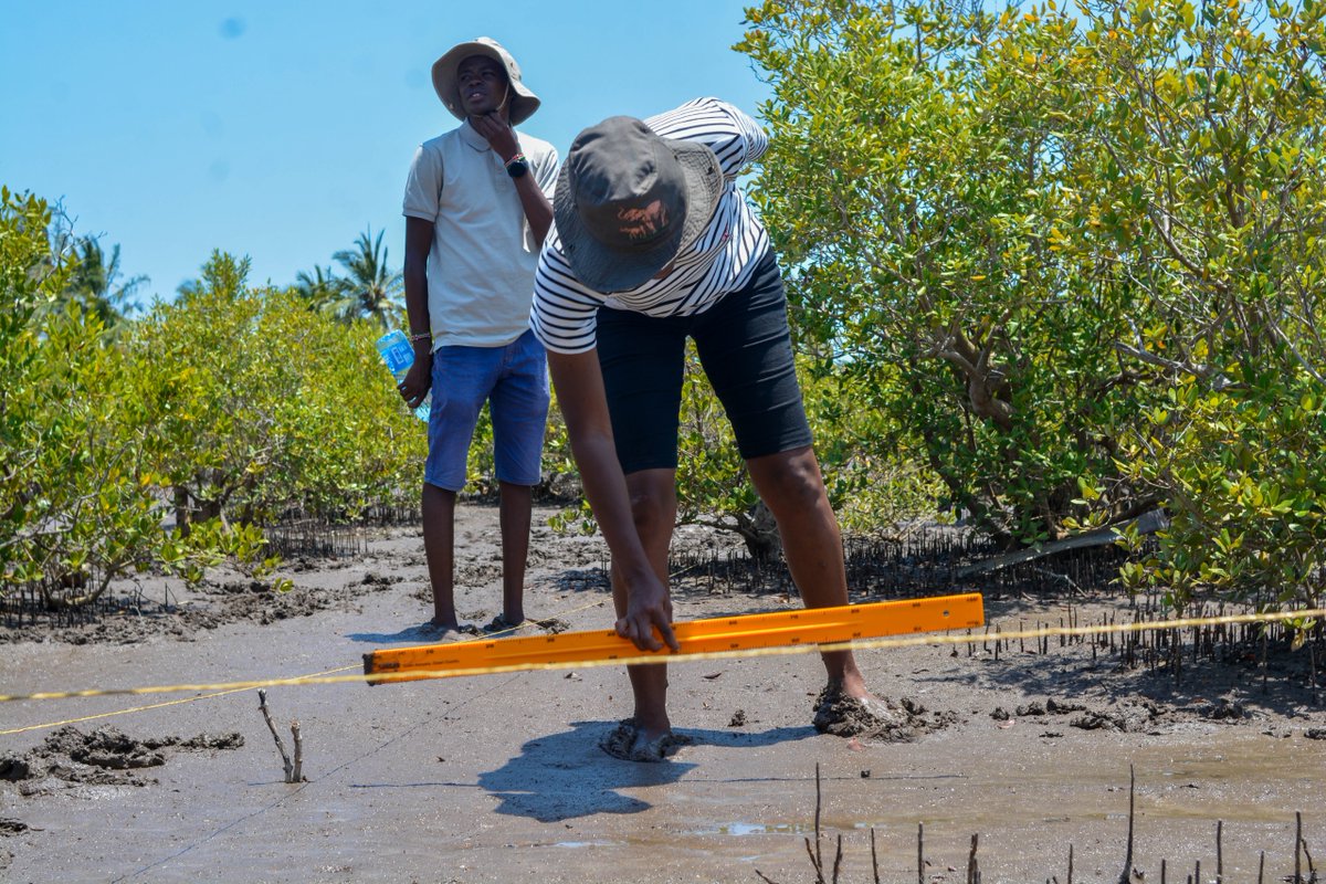 Community Based Environmental Conservation (COBEC) tweet media