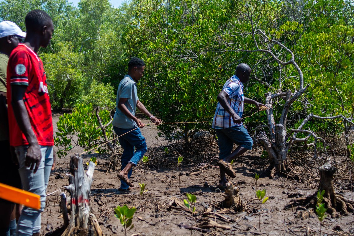 Community Based Environmental Conservation (COBEC) tweet media