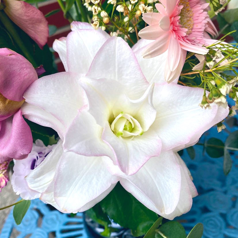 paisley3017's tweet image. Today’s flower : Anouska, Rose lily #purity #madonna #love #anouska #roselily #familygathering #mums88thBday ワイワイと母の米寿祝いの記念撮影&amp;amp;食事会。母にとってはコロナ以降初のイベントで終始ご機嫌でした。アヌースカという八重咲きの百合はとても香りが良く花びらの縁のピンクも可愛い。