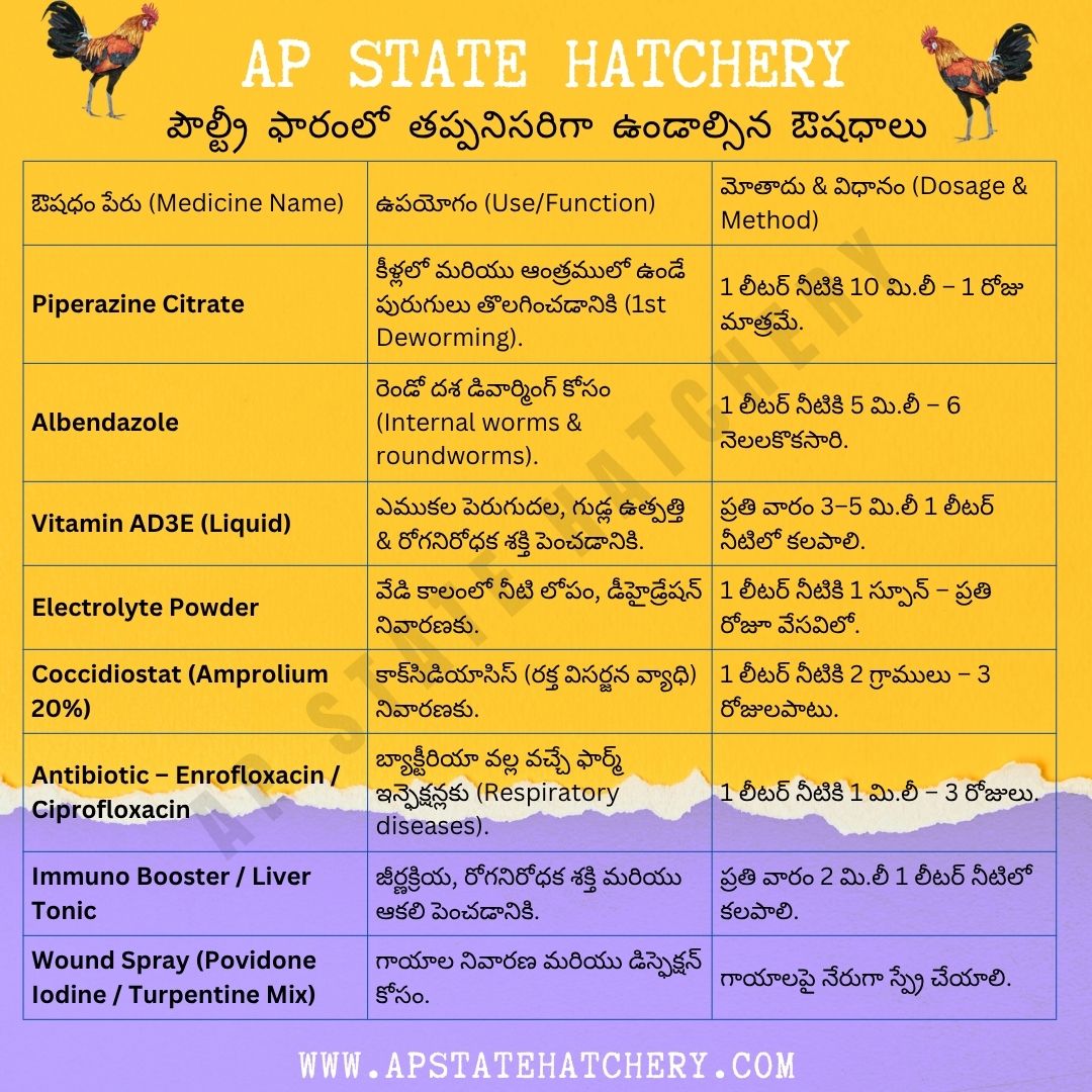 apstatehatchery's tweet photo. 🐔 AP STATE HATCHERY — Poultry Farm Must-Have Medicines🌾 Government-unit Hatchery empowering Backyard Poultry Farmers.
Visit: https://t.co/9pPJlm8Cnb
#APStateHatchery #BackyardPoultry #PoultryMedicine #SmartFarming #DesiChicken #CountryChicken #PoultryIndia #AndhraFarmers https://t.co/zaoev7dUte