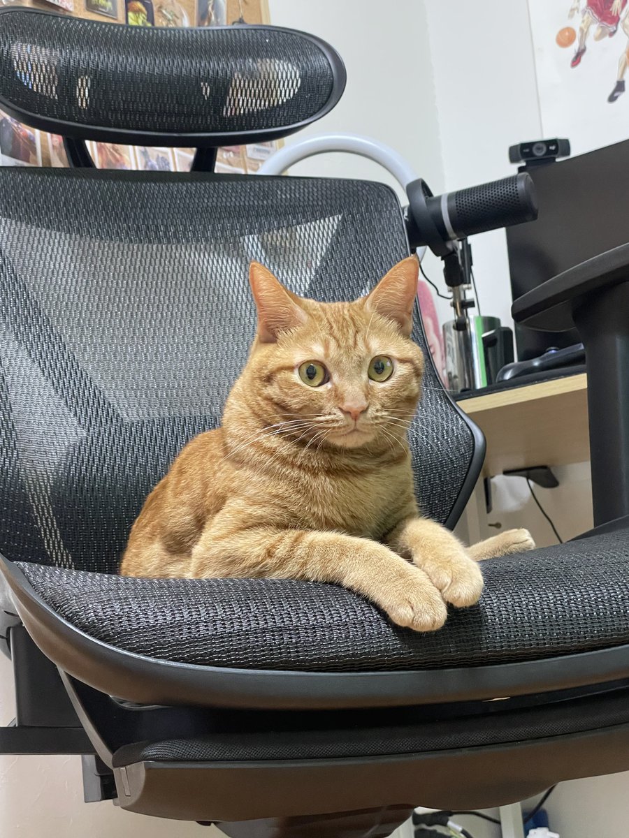 QYマステ7月新作♡Outside view 6cm×5M★PET1350 QYマステ7月新作♡Outside view 6cm×5M☆PET1350