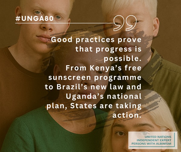 When I present my report at the UN General Assembly in New York this Monday 3 November, these examples will show that inclusive health systems can save lives.

Watch the presentation live on the day around 11am New York time at: media.un.org/en/webtv