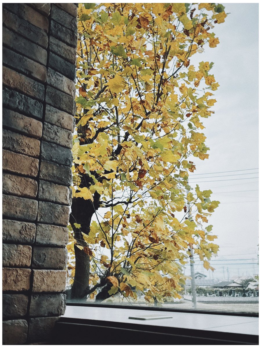 marksbranding's tweet image. だいたい準備できたんだけど何だか落ち着かないのでROKKORレンズを分解してカビ拭きしようか真剣に悩むターン

写真は“2日間家空けますもろもろよろしくお願いしますどうぞお召し上がりください”ランチ

#Greenpoint 
#Dazz
