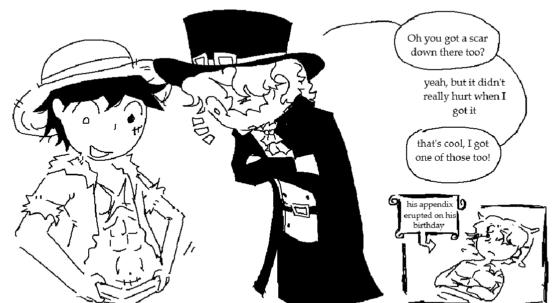 c-section scar and an appendix scar