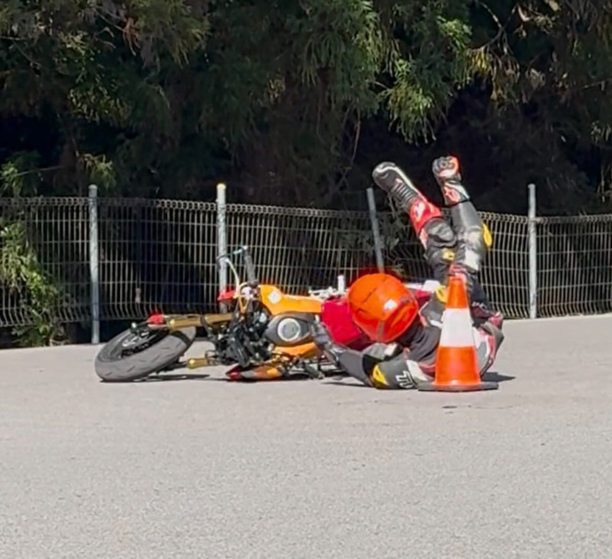 りょこりぽ on X