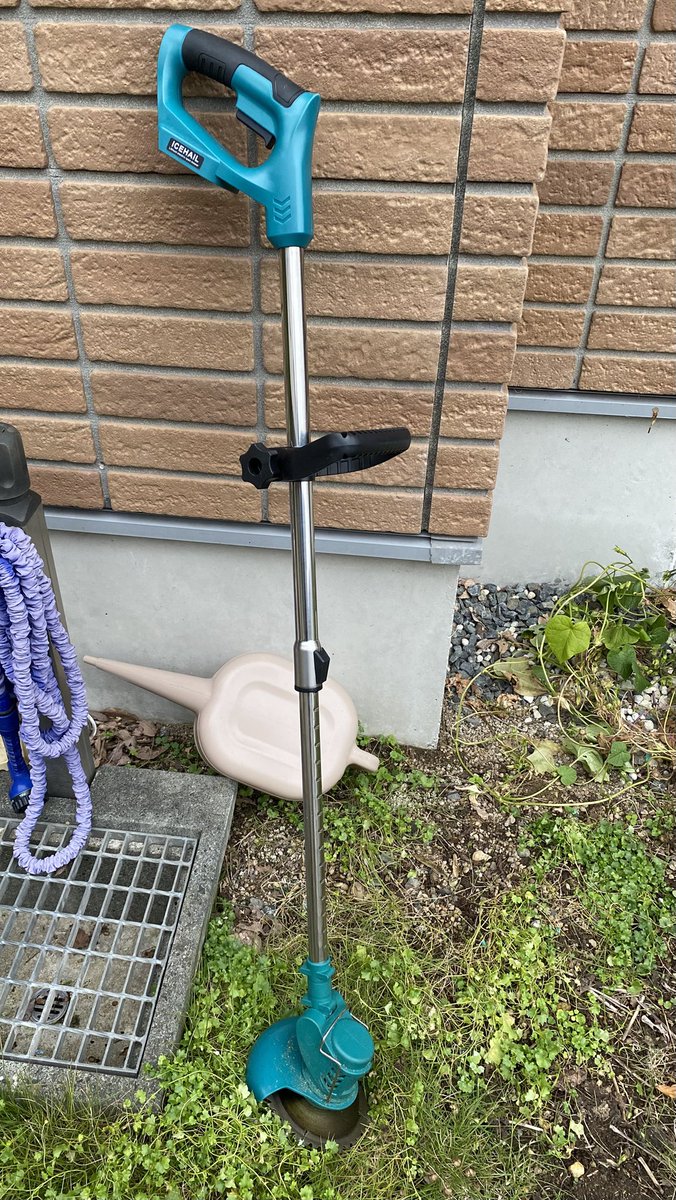 田村一「薔薇」 バラ つる スーパースター｜ROSE Super Star, Cl.｜花の手帖の