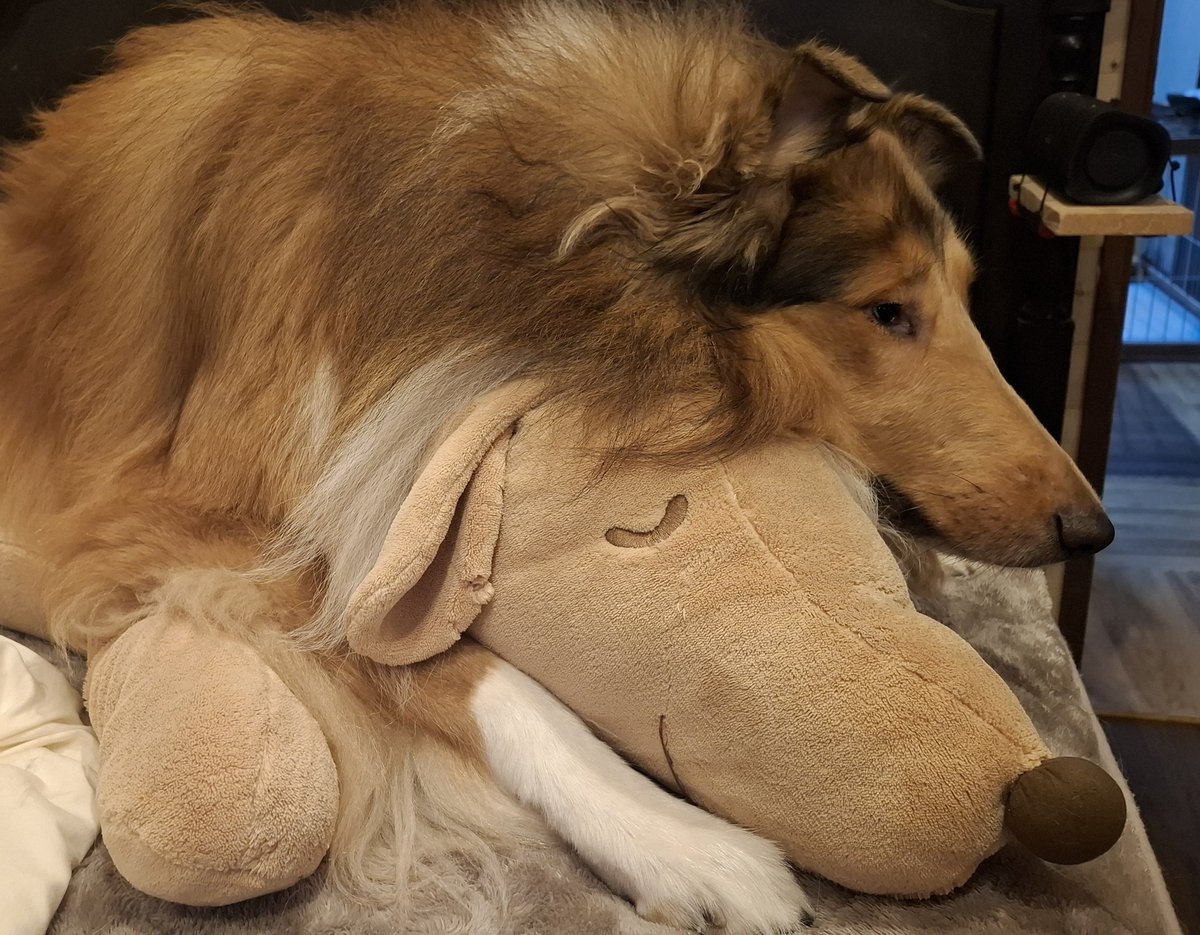 Chichiri Takanomori (@Chichiri07120) / Posts / X