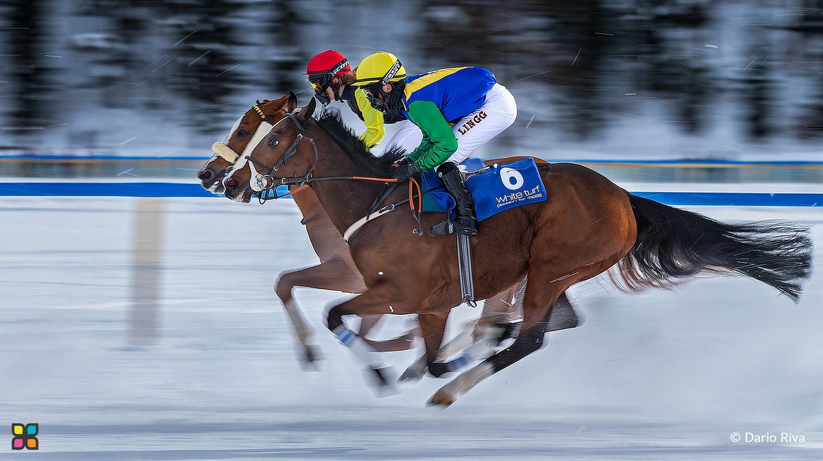 📸 #PhotoOfTheDay 

"White Turf 13 | وايت تيرف 13"

© Dario Riva | Italy

#HIPA #HIPAae #photography #photographerlovers #Italy #SportsPhotography #ActionShot