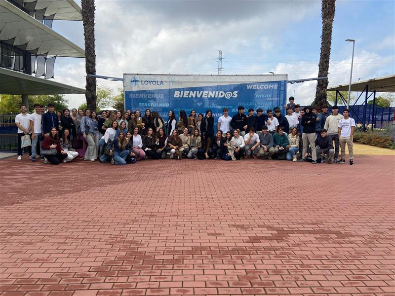 Universidad Loyola tweet media