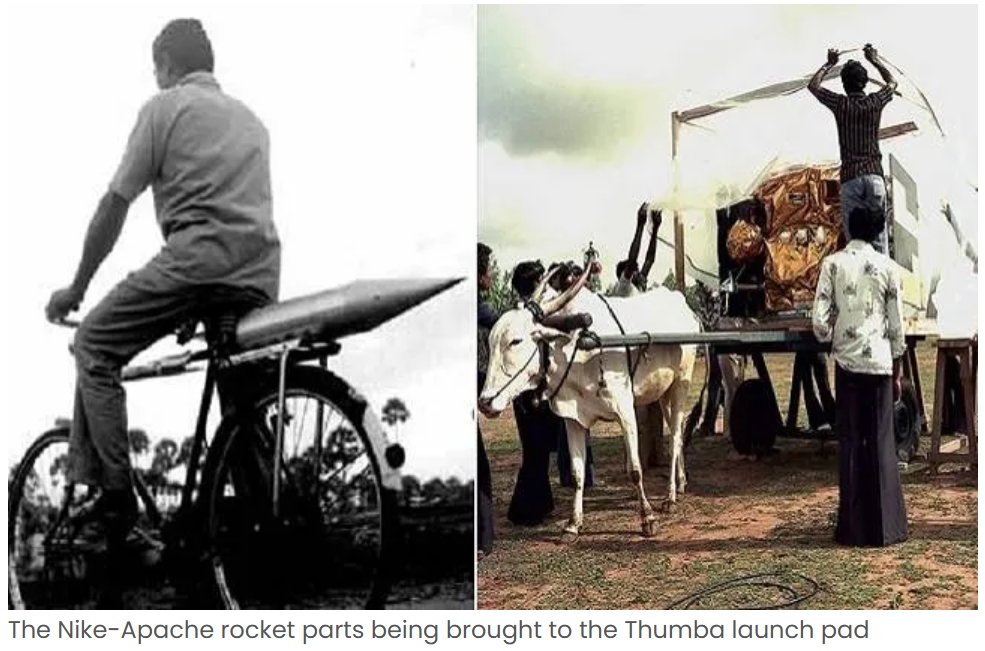 HHWDispatches's tweet image. 