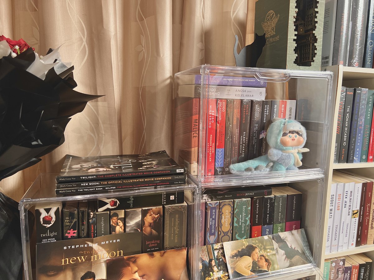 vvanillapopcorn's tweet photo. my favorite parts of my bookshelves 🫧🌸 https://t.co/omVkLJWCb4