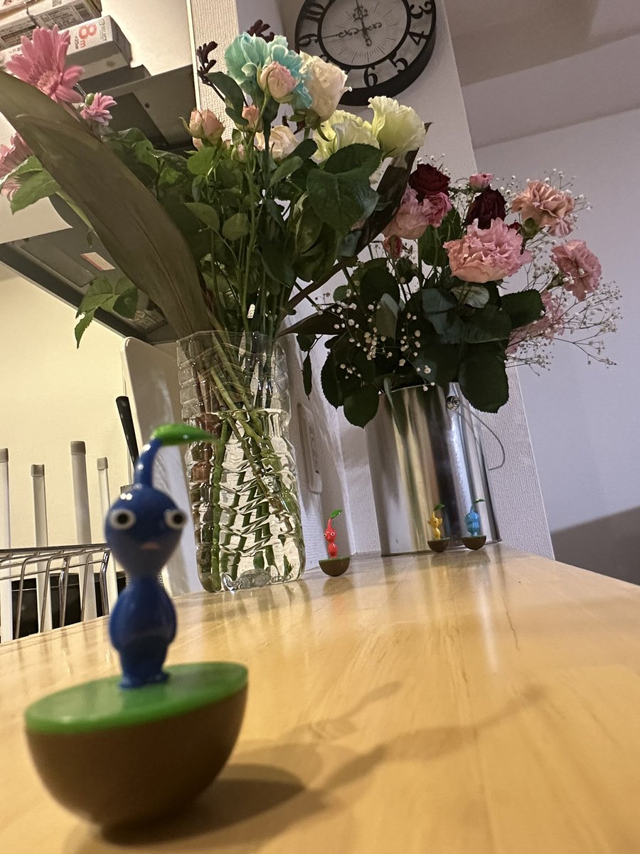 先週、今週、頂いたお花！ 花瓶を持っていなかったので、 ペンキ入れ