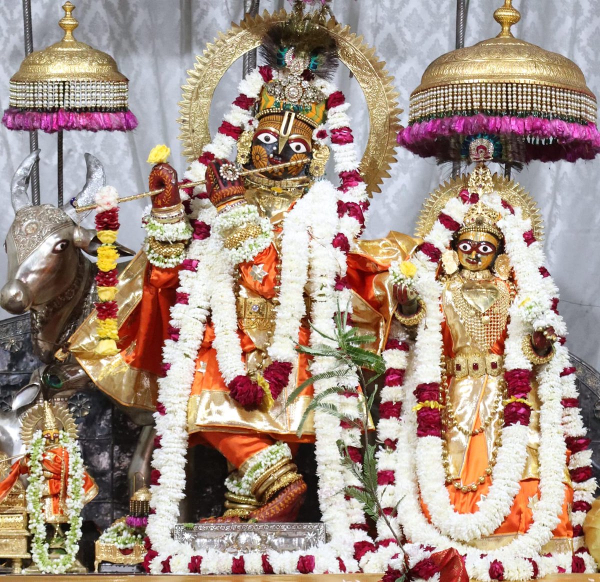 💐💐*आज के धूप झाँकी  दर्शन💐💐
श्रीश्री राधा गोविंद देव जी जयपुर 
*31 अक्टूबर 2025 
| हरे कृष्ण हरे कृष्ण कृष्ण कृष्ण हरे हरे |
|| हरे राम हरे राम राम राम हरे हरे |