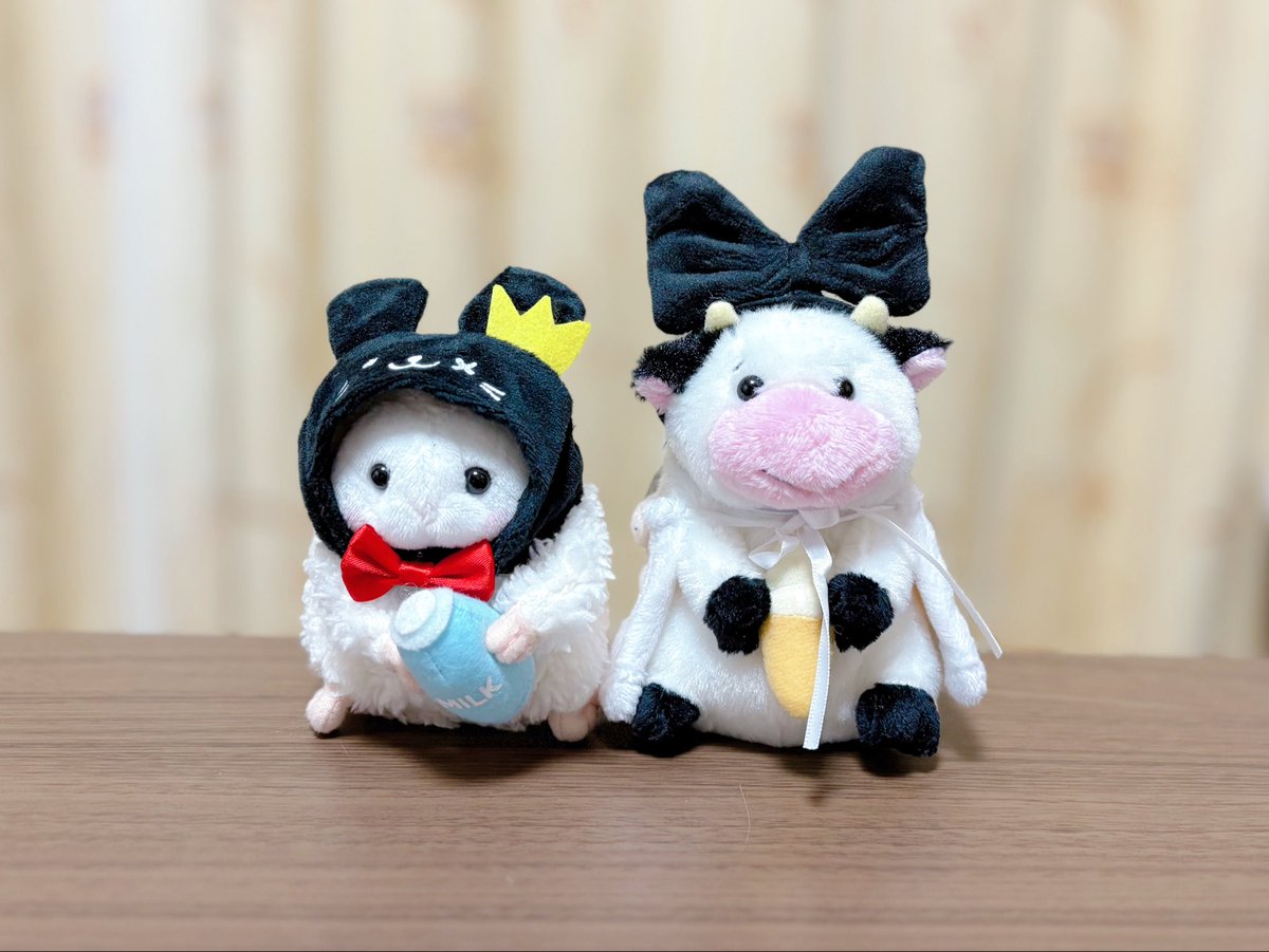 にゃんページです♡ いんこ日和 (@Parakeet_PandG) / Posts / X