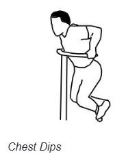 Dips kan kjøres både som en øvelse for #triceps og for #bryst. Det er også en veldig fin overgangsøvelse dersom du kjører triceps og bryst på samme dag.

Denne varianten går mest på bryst.

Les mer om øvelsen her:
treningkosthold.no/exercise/detai…

#trening #gymliv #fitness