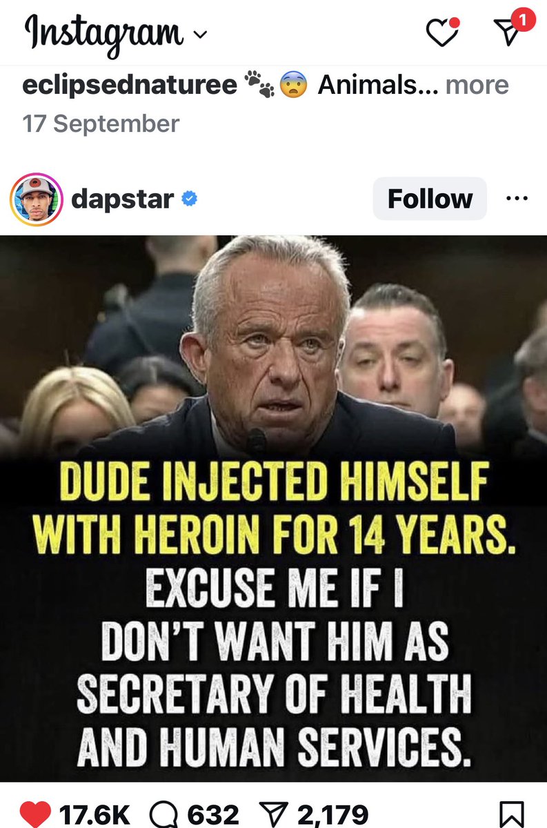 halfpint69adel's tweet image. 