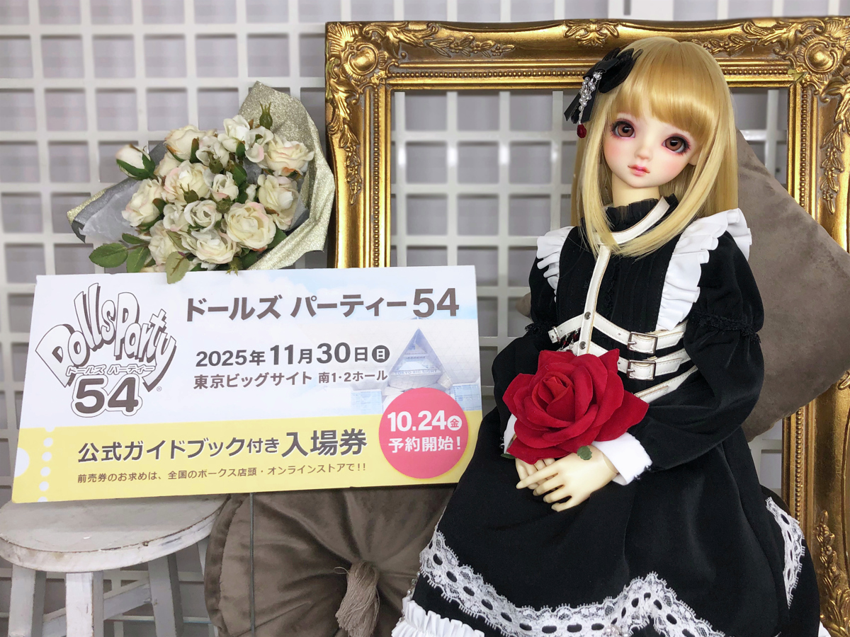 ドールズパーティー54 ドルパ 公式ガイドブック 入場券 Aグループ 11