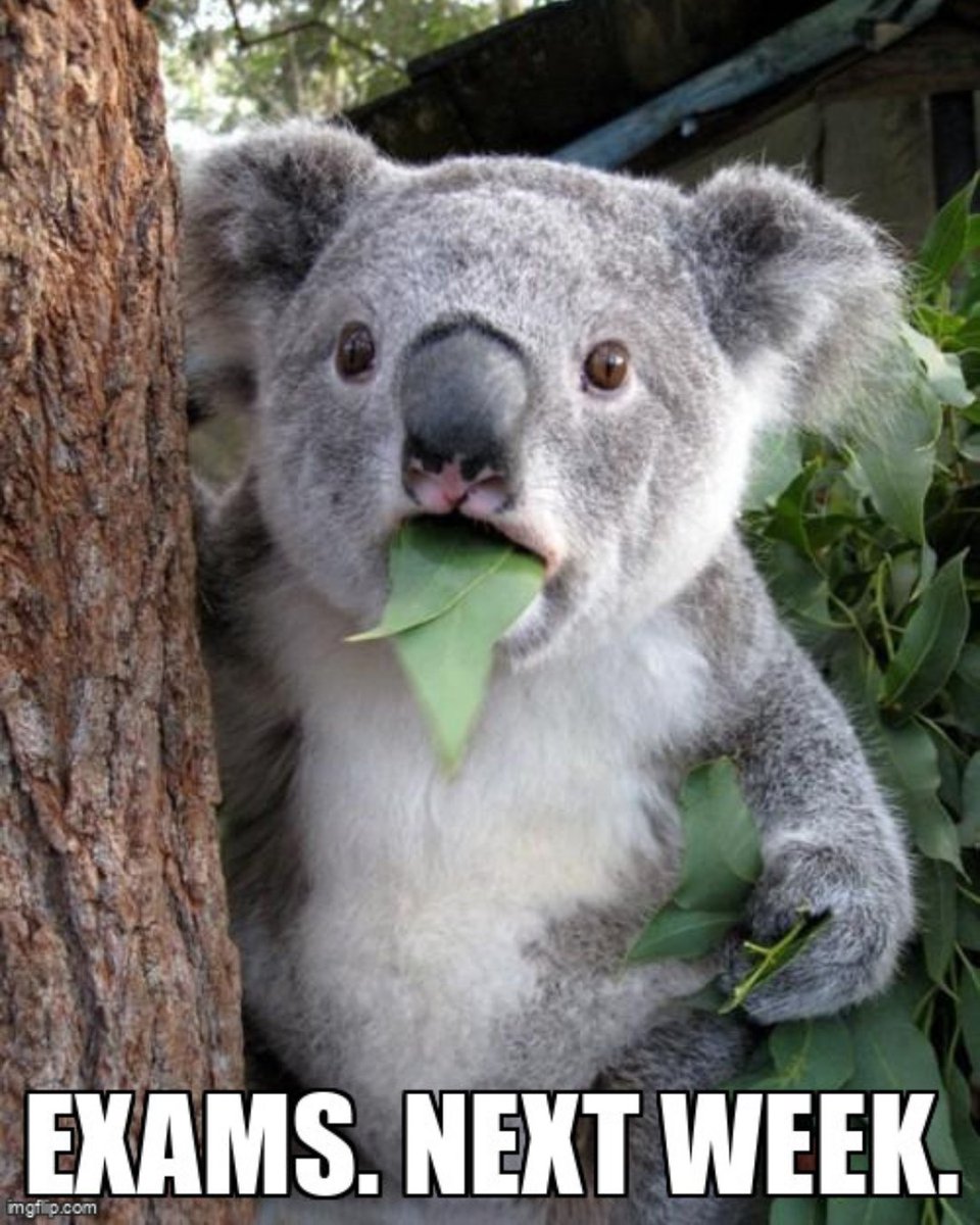 NTU School of Biological Sciences tweet media