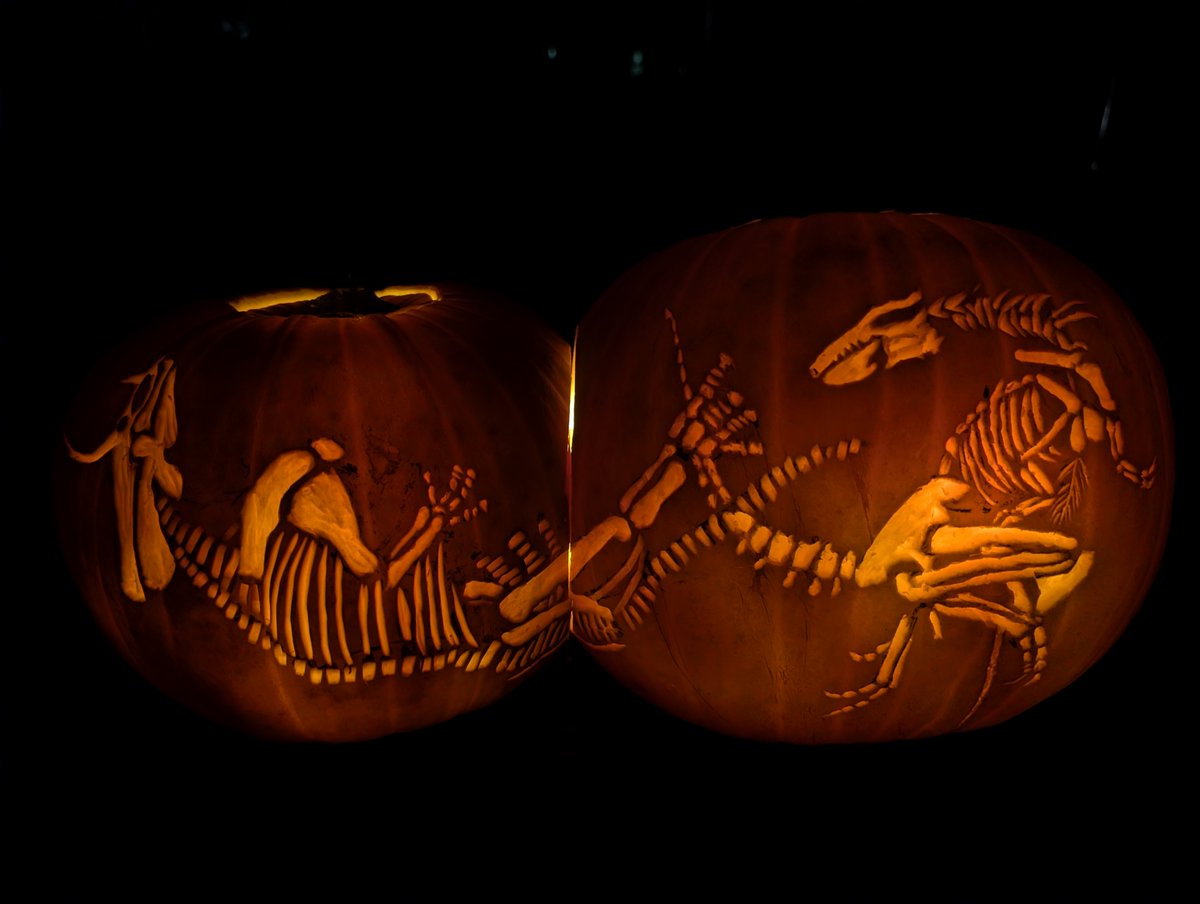 chrissygarros's tweet image. Retweet to scare a Nanotyrannus denier #BackInHell

Happy Halloweeeeeen 🎃