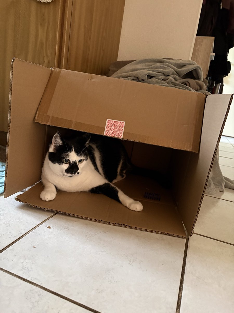 ラブブ様　検討分 backend=imagemagick;version=1;