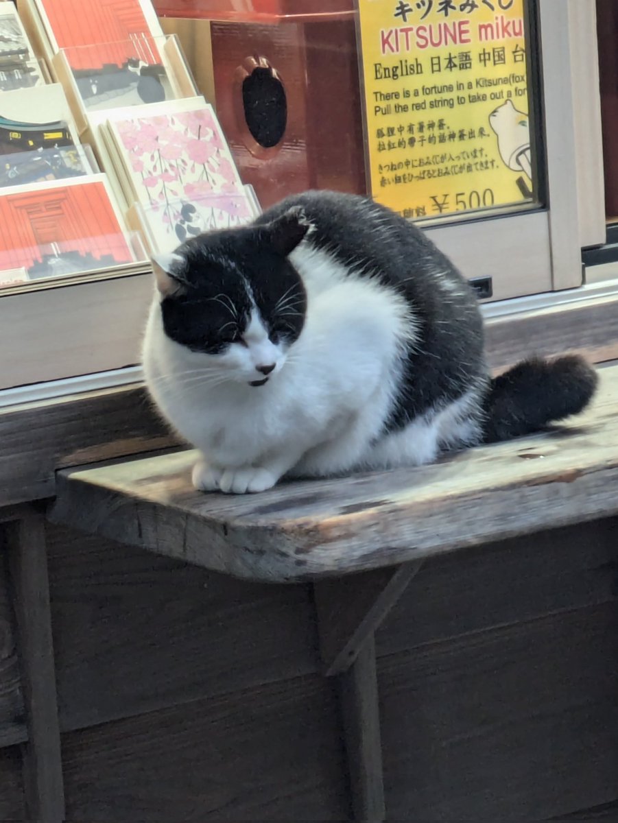 にゃにゃいろ on X