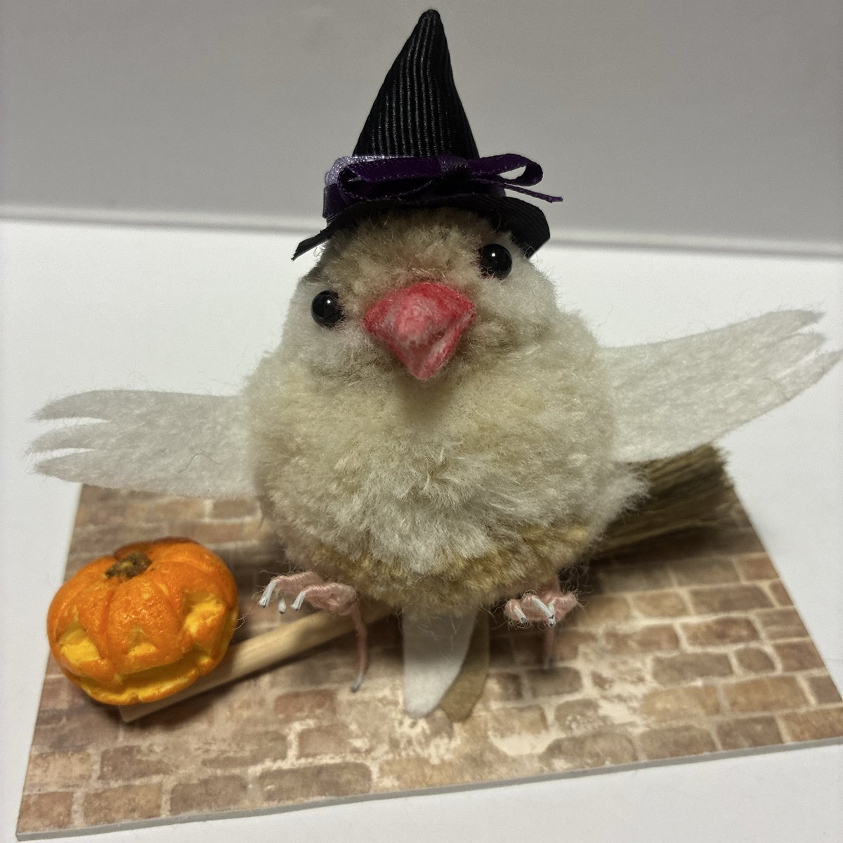 ぴーちゃんページ ピーちゃん (@BuraH1JzuQ73wHB) / Posts / X