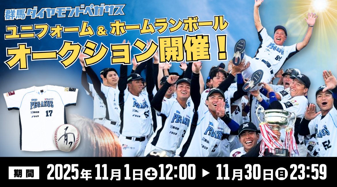 BCリーグ　群馬ダイヤモンドペガサス　2017年　選手実使用　ユニフォーム 送料無料群馬ダイヤモンドペガサス⁄#91 川尻哲郎⁄実使用ユニフォーム