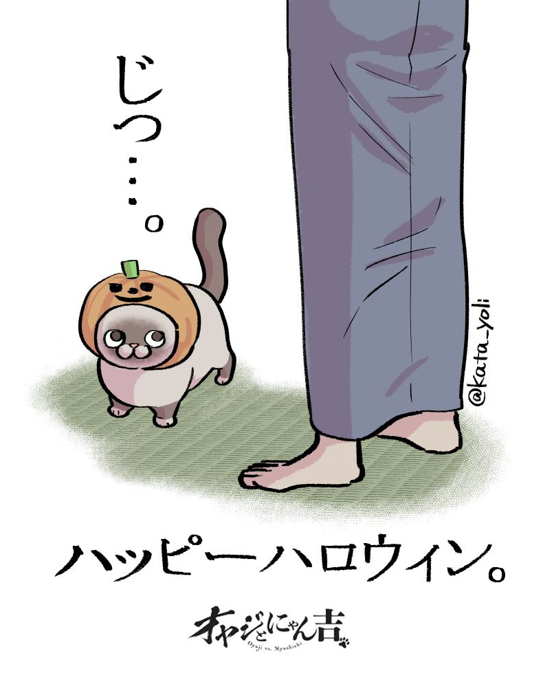 片倉 頼📦オヤジとにゃん吉👨‍🦳🐾🐱2/ 124⃣巻発売