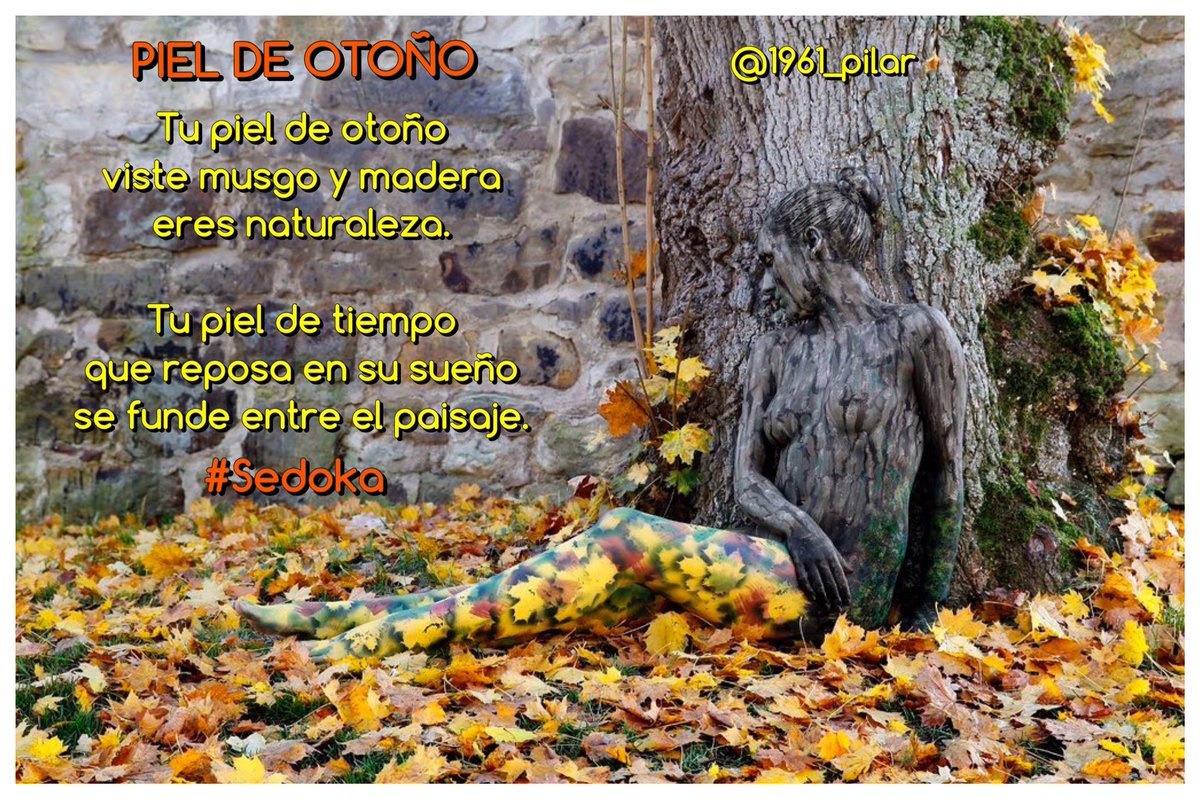 Un nuevo amanecer ¡Buen fin de semana!

#FF para ti, que me lees a flor de piel. 

PIEL DE OTOÑO

~Sedoka~

#LYF15  #VAFlorDePiel