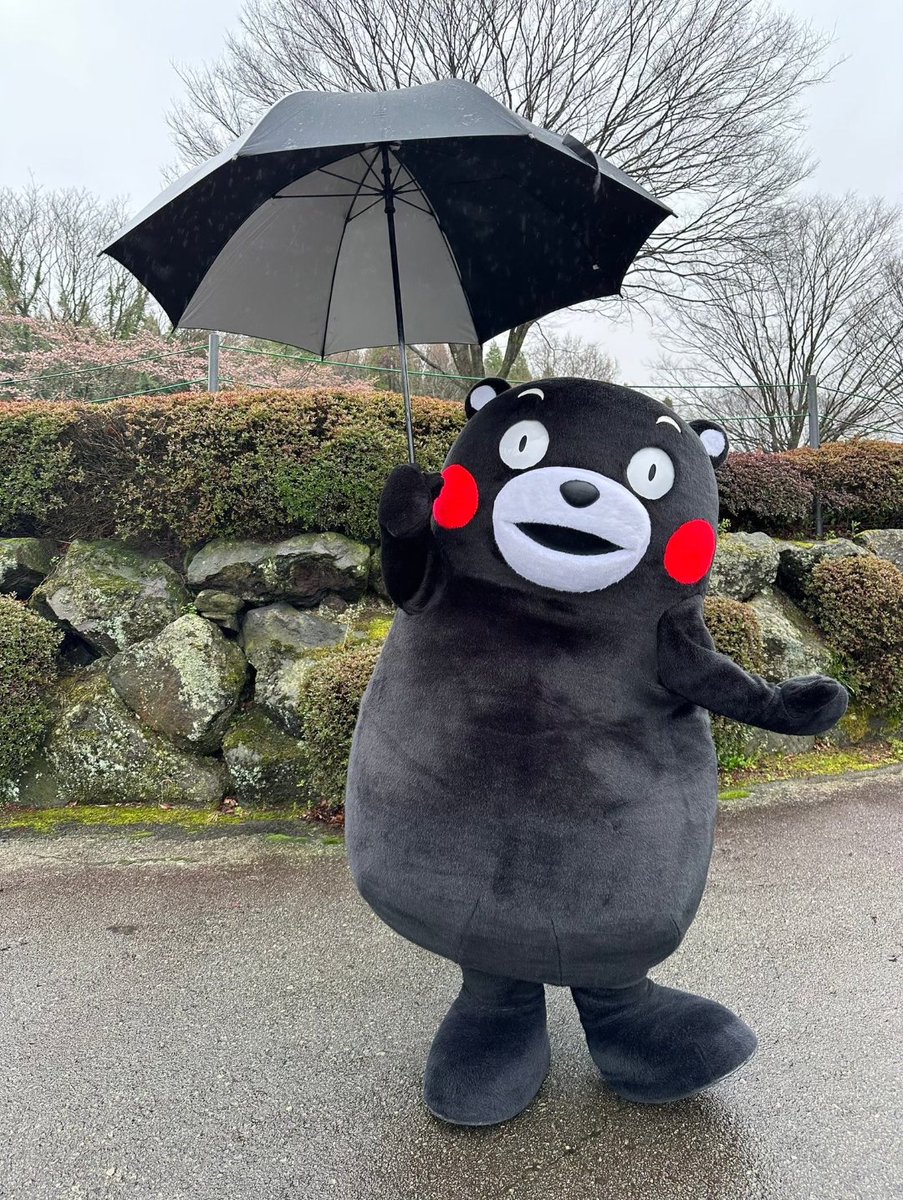 くまモン太郎 守山玩具（モリガン）MLab on X