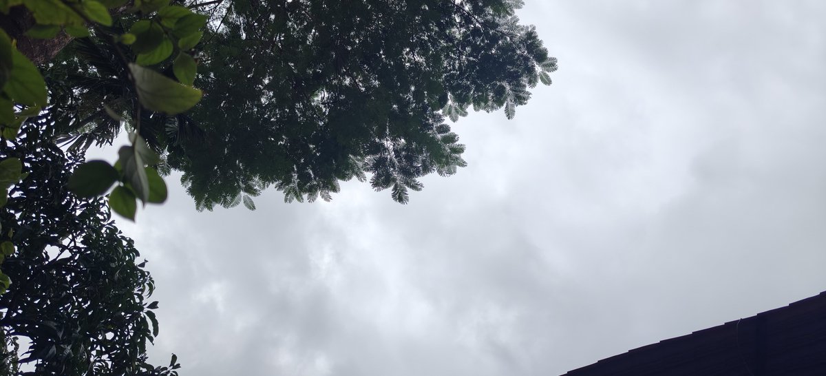 shetty_athreya's tweet image. October 31 2025 ❌

30 July 2025 ✅

#MonsoonVibes 🤗🌧️
#NaviMumbai