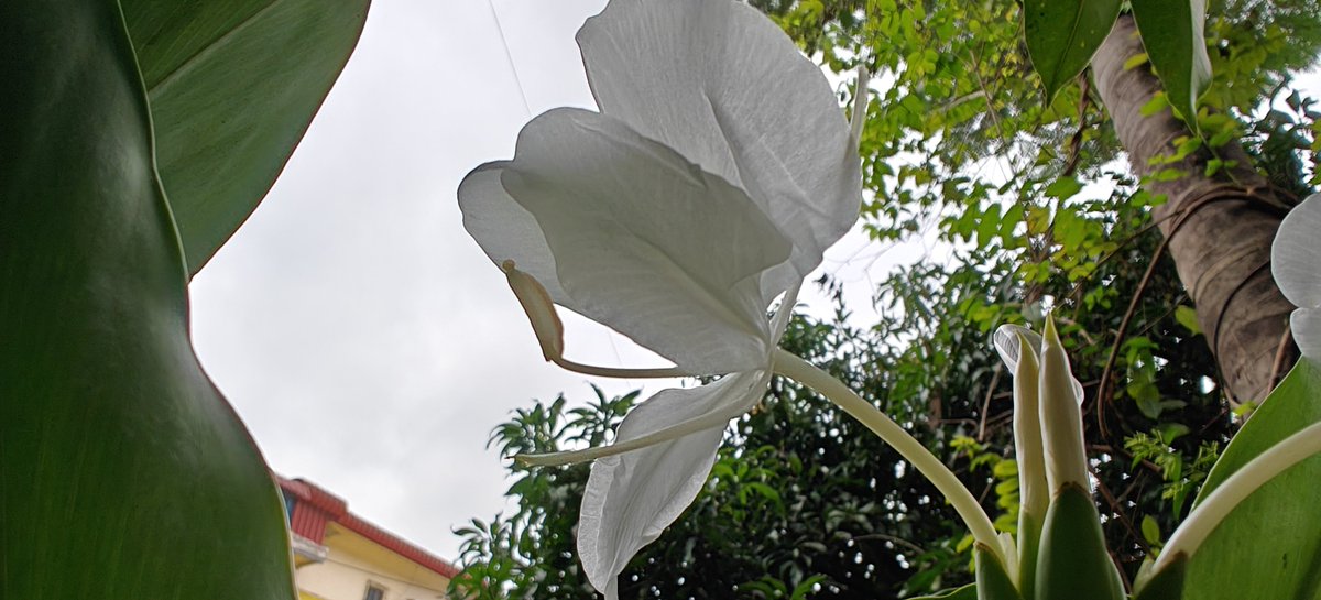 shetty_athreya's tweet image. October 31 2025 ❌

30 July 2025 ✅

#MonsoonVibes 🤗🌧️
#NaviMumbai