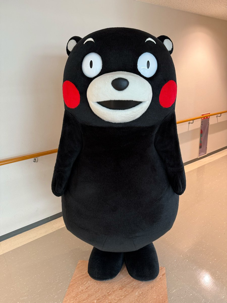 くまモン【公式】 (@55_kumamon) / Posts / X