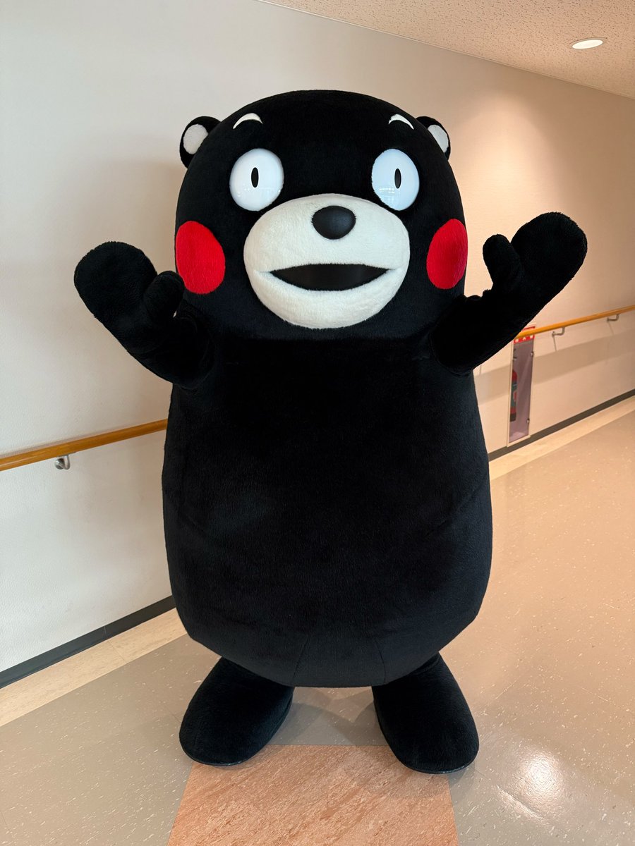 くまモン くまモンmemo (@we_love_kumamon) / Posts / X