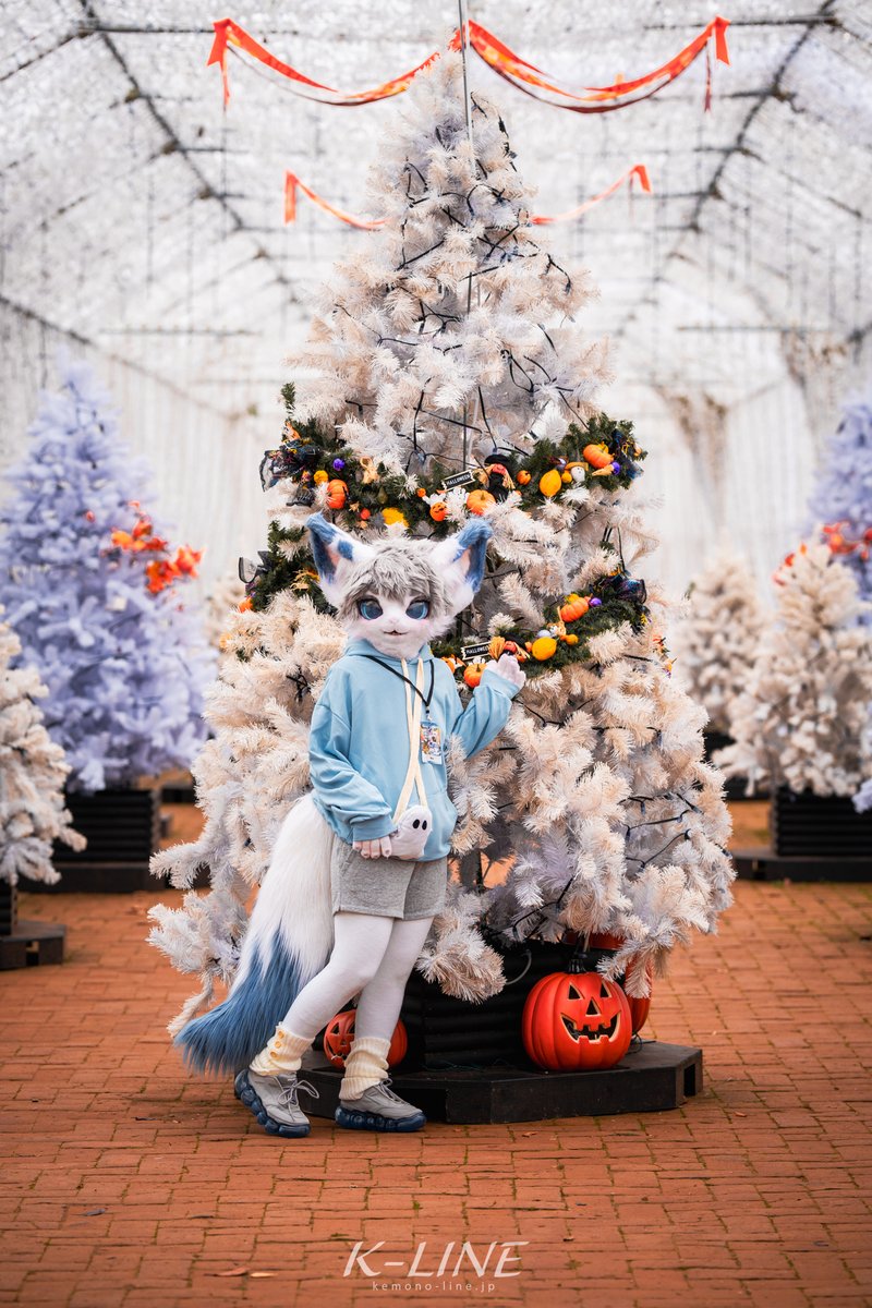 ⭐️小雪です ゆきえす on X