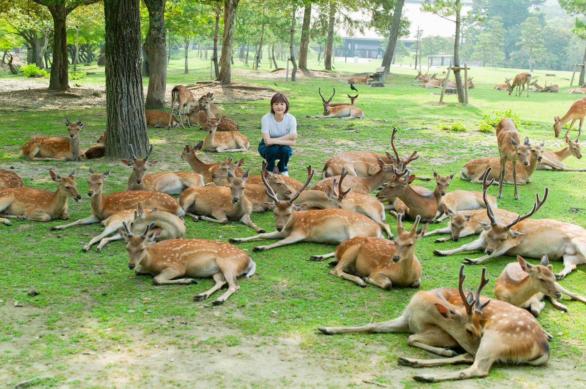 久保ユリカ、アーティスト活動終了へ
2016年2月に活動開始で来年10周年の節目

1月に2ndアルバム「シカノコ」発売
4月に横浜・奈良・大阪・東京でライブ開催
oricon.co.jp/news/2416005/?…

#久保ユリカ