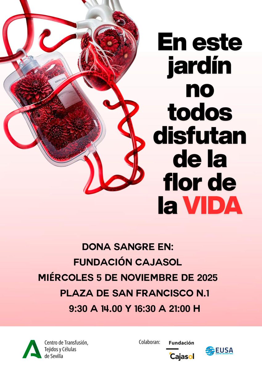 CTS Sevilla tweet media