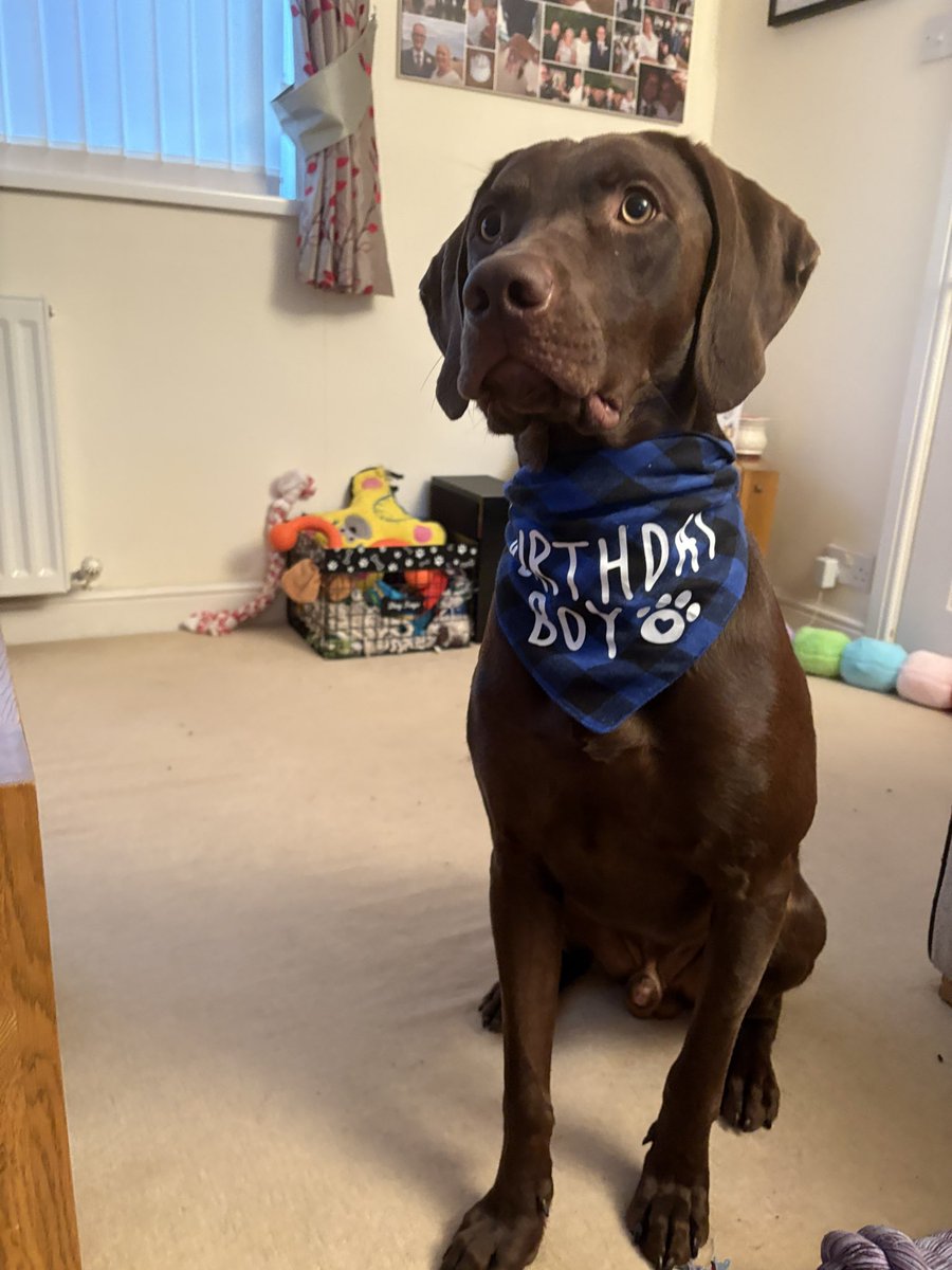 Happy Birthday Bailey. 1 today❤️