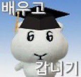 윤르먼 tweet media