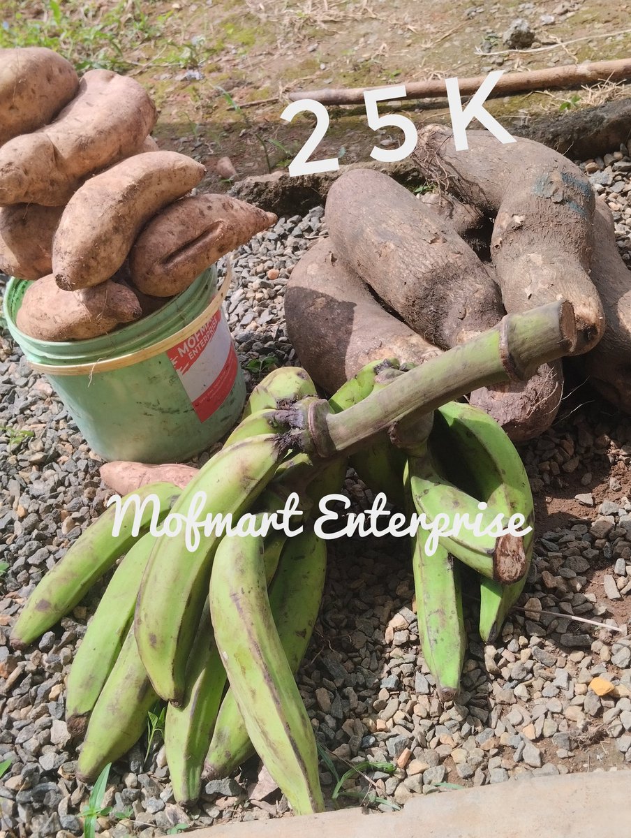 5 Tubers of yam 
A bunch of plantain 
Potatoes 

All for 25k(Waybill inclusive 

Location ogun state