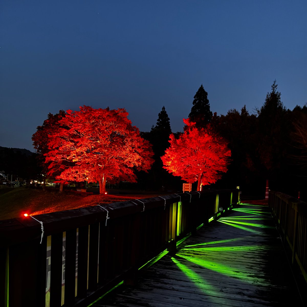 青森県新郷村（しんごうむら）公式 tweet media