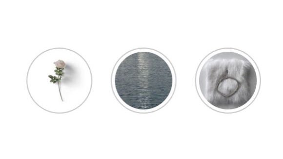 Iceo-berry 🍓 tweet media