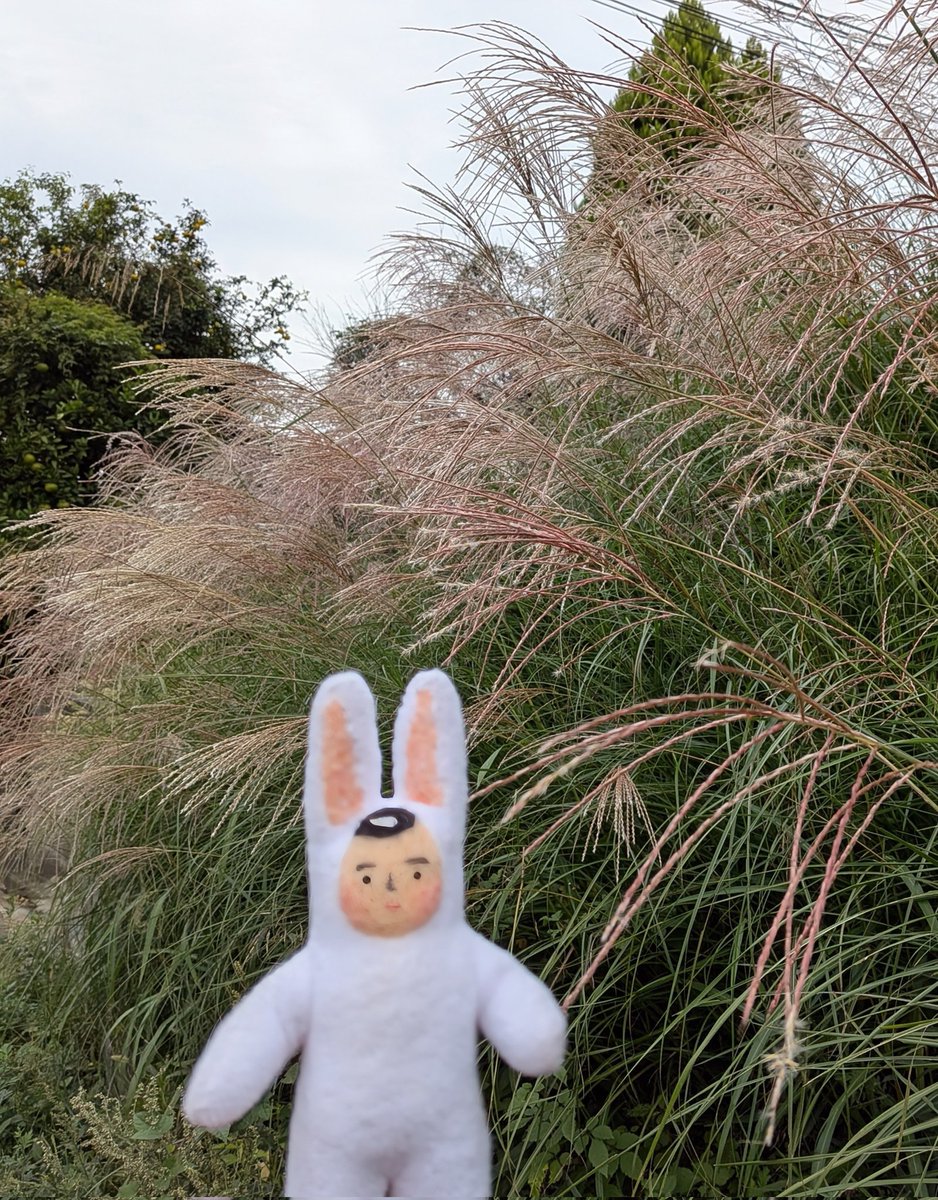 サトウくん Aoshima 00488 Toyota Mark Ii Tourer V Jzx90 1:24 - Ceny i